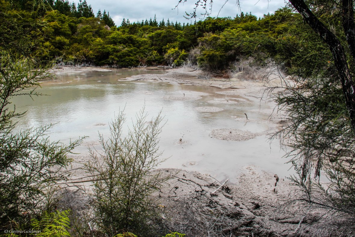 Rotorua Mud Pools, New Zealand