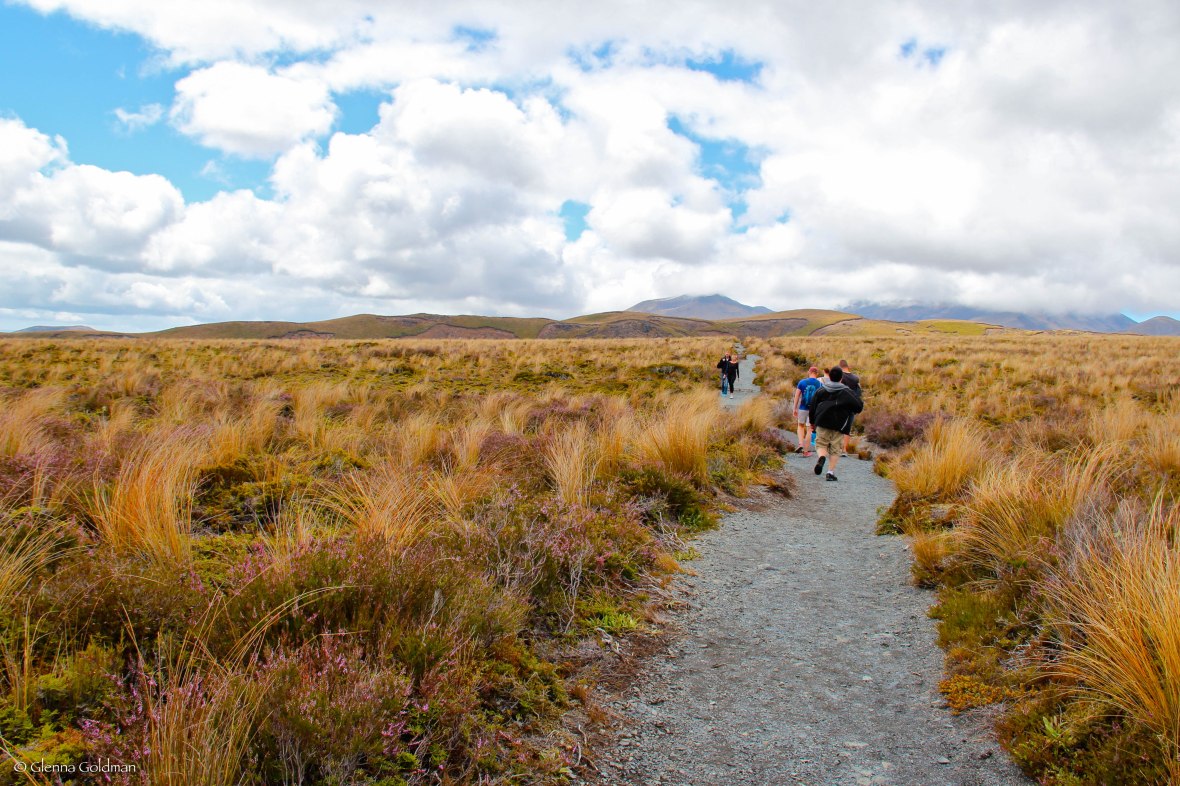 Tongariro National Park, New Zealand