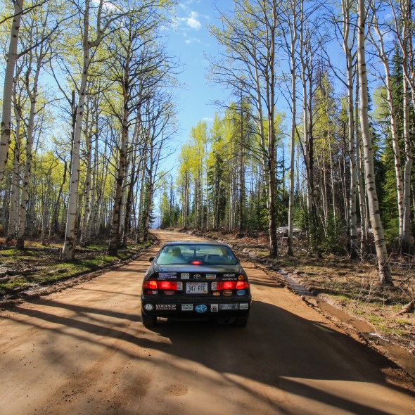 Driving through Aspens in Colorado