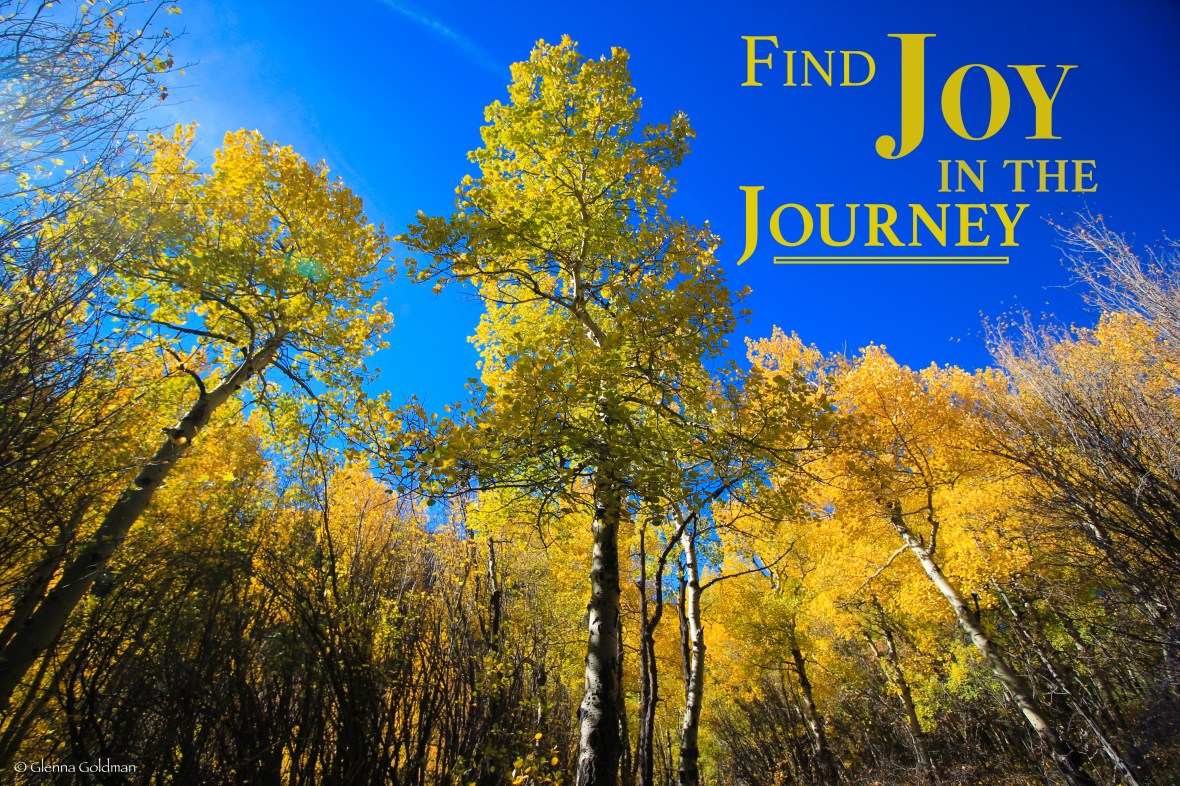 Colorful fall aspens in Colorado