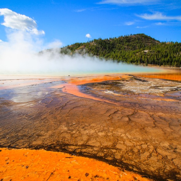 Grand Prismatic Spring Yellowstone