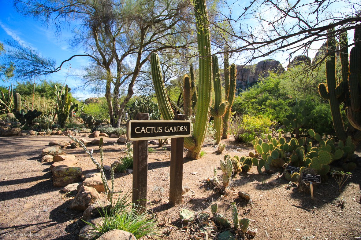 Cactus Garden, Boyce Thompson Arboretum, Arizona
