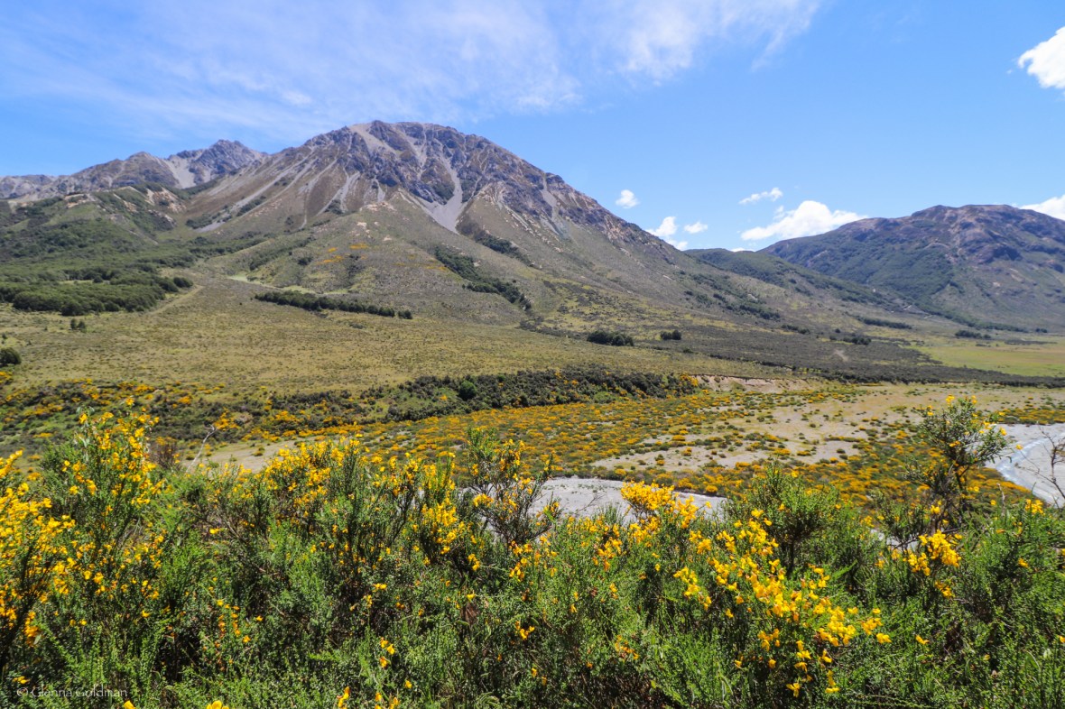 ArthursPass-Small-124