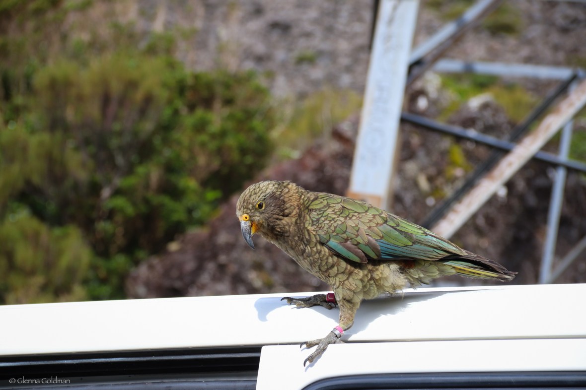 ArthursPass-Small-16