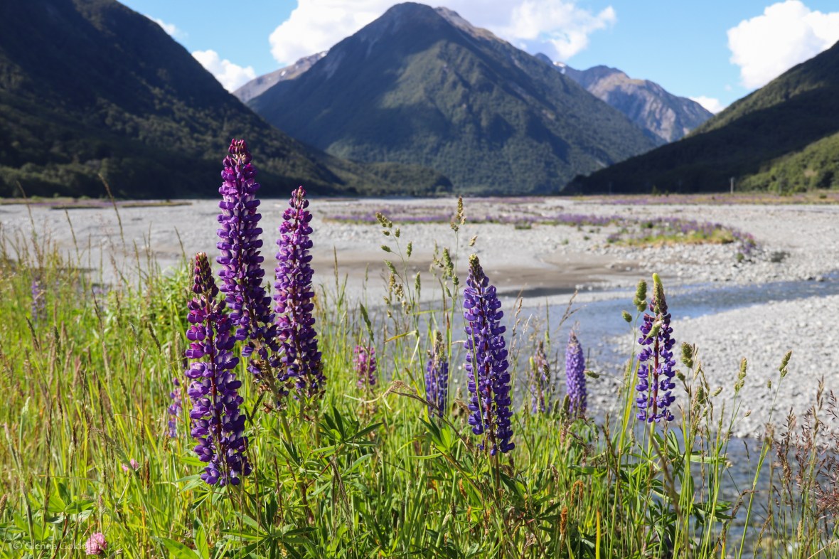 ArthursPass-Small-47