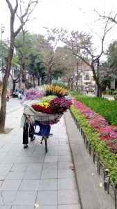 Hanoi-Flower-Bike