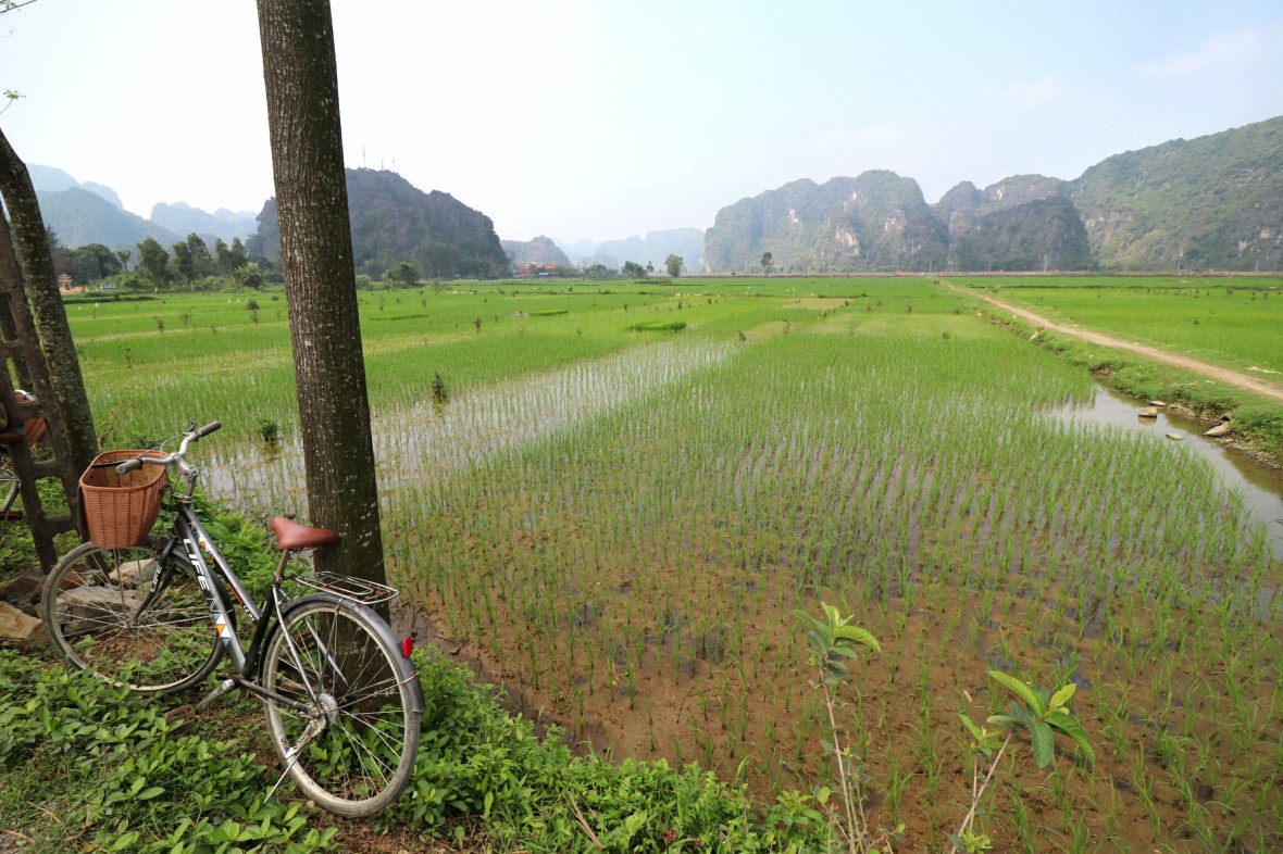Vietnam-Rice-Paddy-Bike-Ride